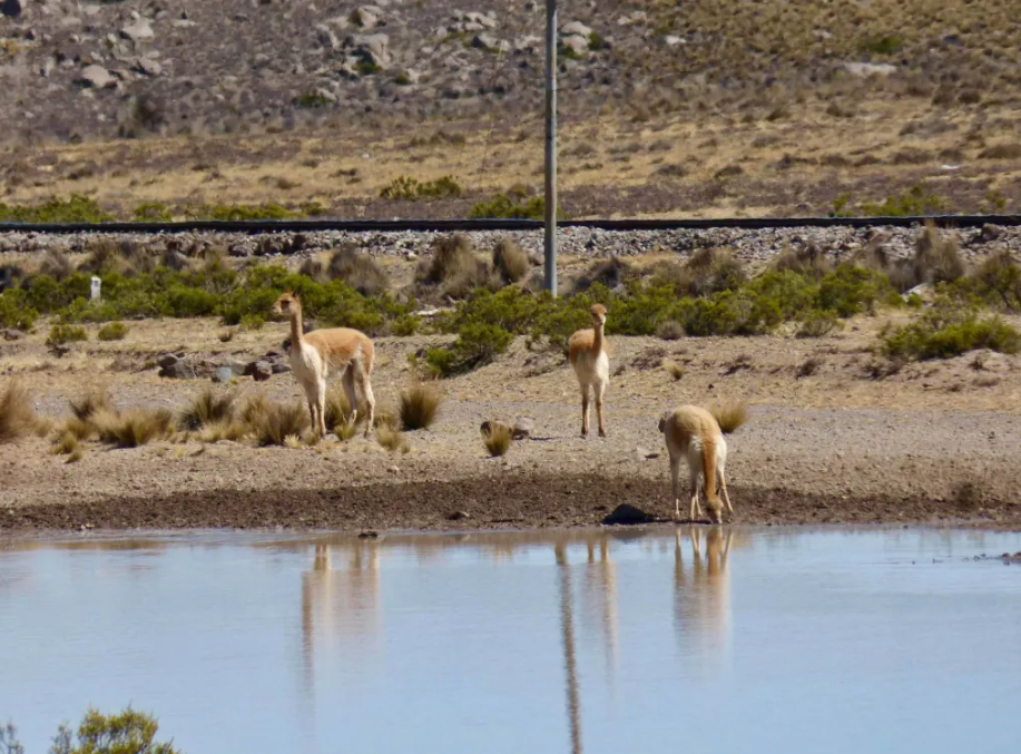 Half-day Salinas Lagoon Tour